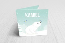 Ijsbeertje in de sneeuw Ijsbeertje in de sneeuw